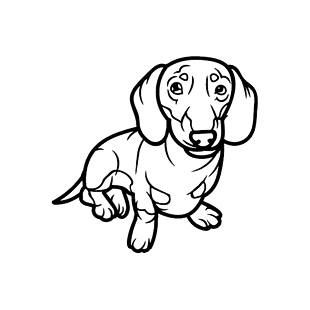 TheHouseOfDachshund, The House Of Dachshund